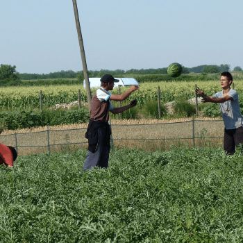 “I like being a farmer and I would like to stay one”